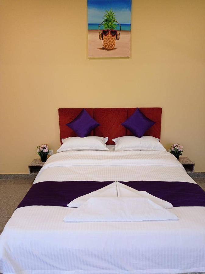 Brit'S Palace Goa Agacaim 外观 照片
